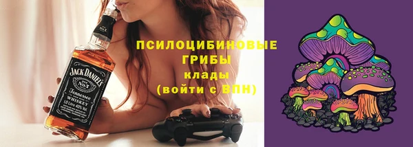ГАЛЛЮЦИНОГЕННЫЕ ГРИБЫ Армянск