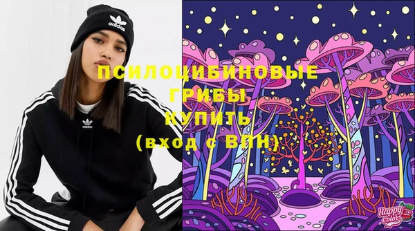 ГАЛЛЮЦИНОГЕННЫЕ ГРИБЫ Армянск